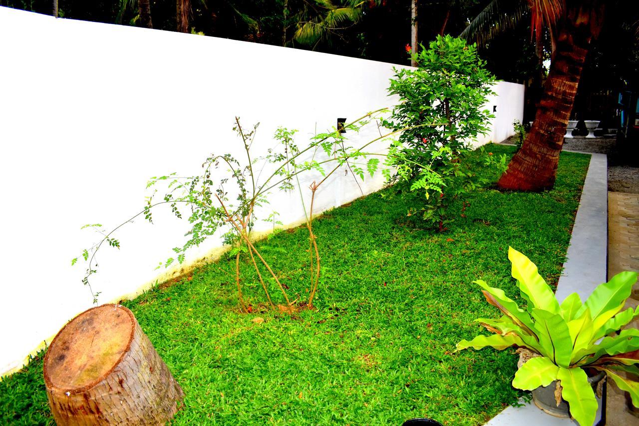 Leonine Villa Yala Tissamaharama Exterior foto